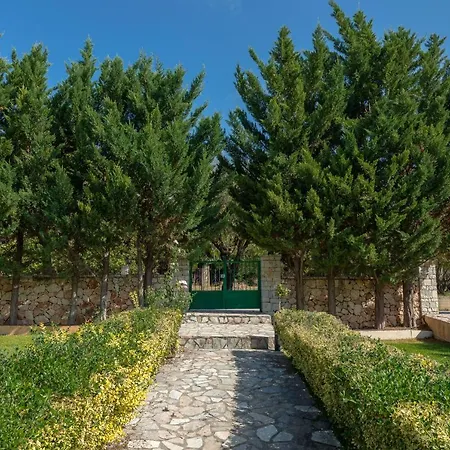 Vista Verde * סבורונטה
